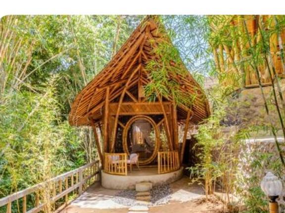 Bamboohouse Salacca #salacca *